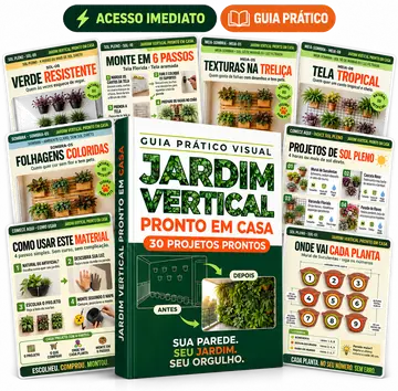 Mockup da Edição Básica